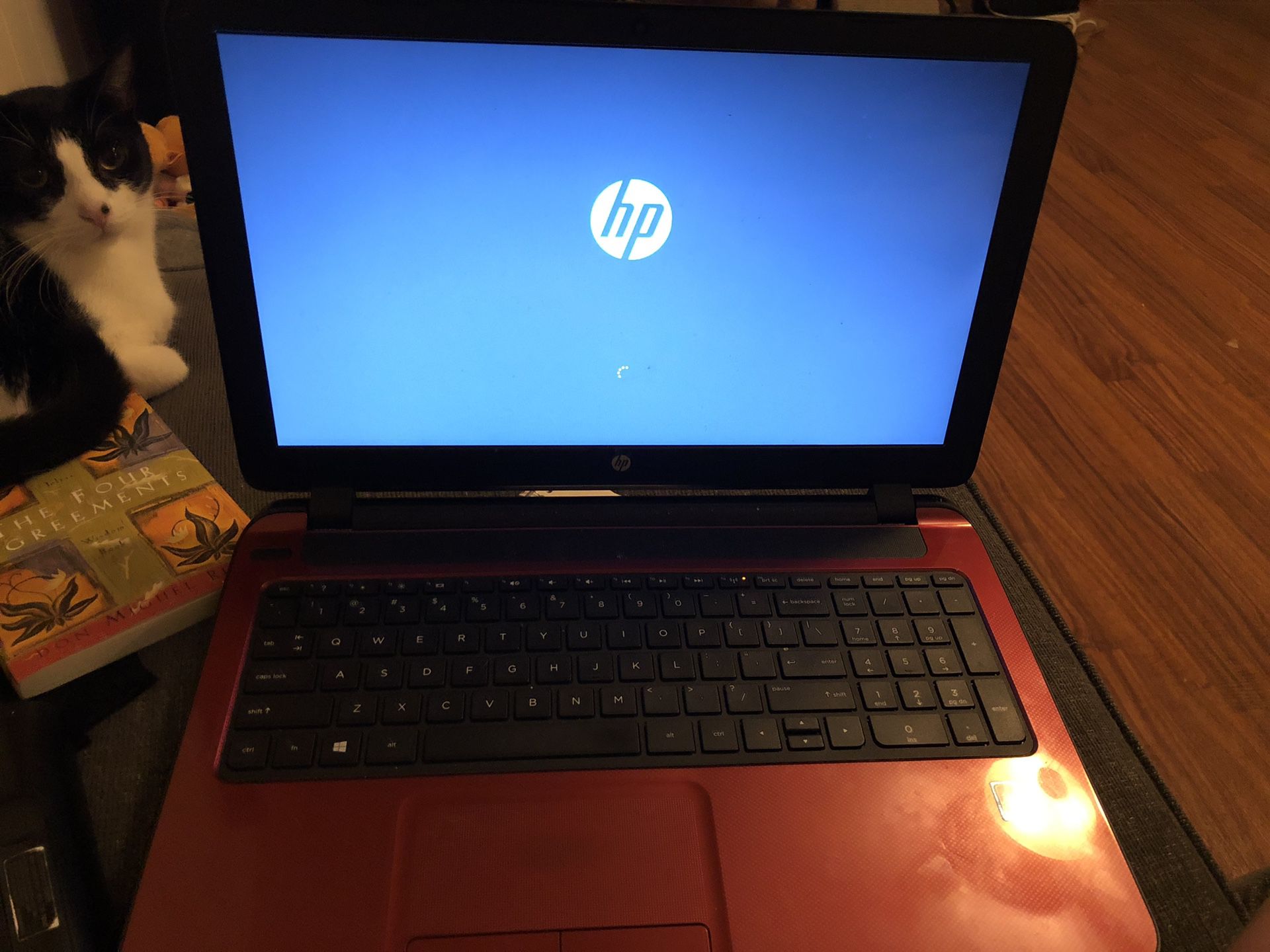HP Pavilion Laptop/notebook computer