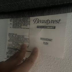 Queen Matress 2023 Beauty Rest Plush 