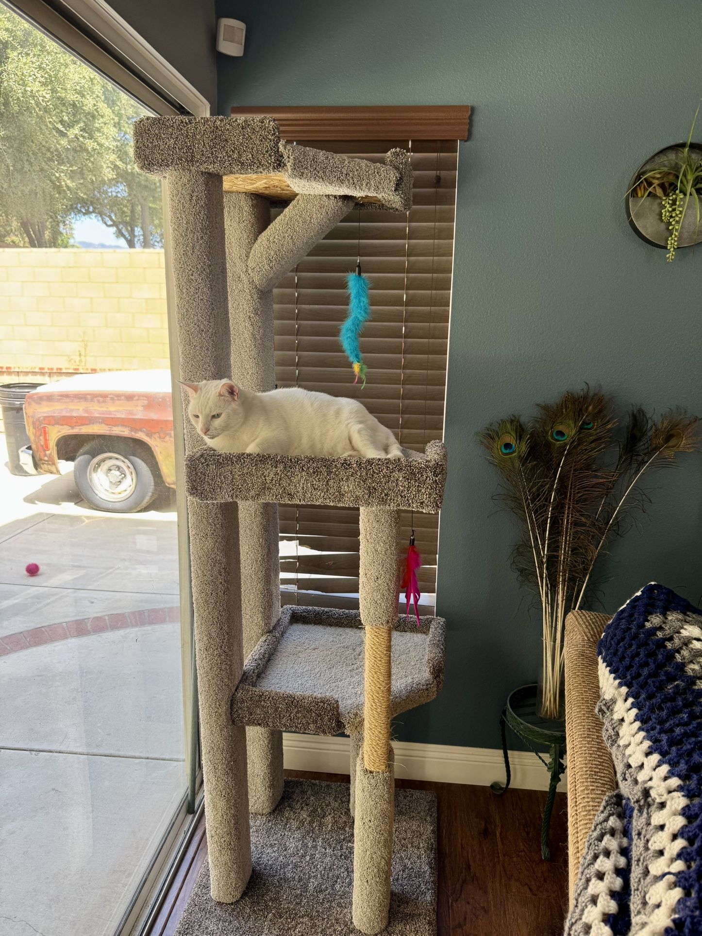 Hand Made Cat Trees