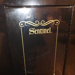 Gun Safe