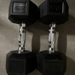 25lb Dumbbells