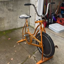 Antique Swinnb Stationary Bike Aurora 🔃 