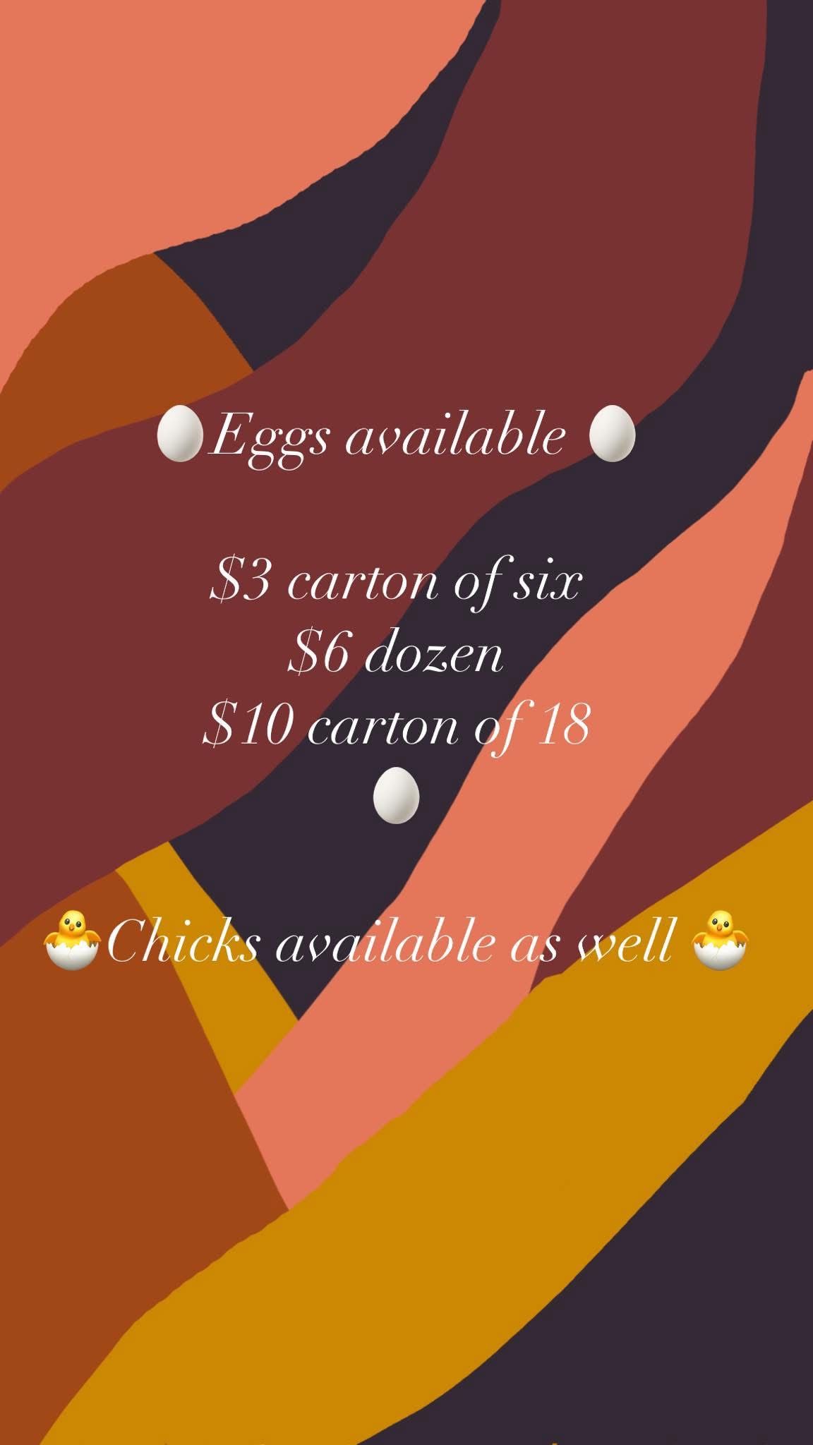 Farm Fresh Eggs 🥚