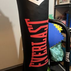 Punching bag 