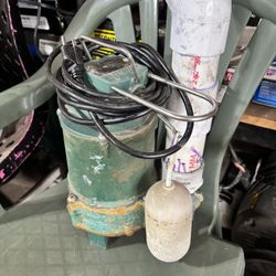 Zoeller 1/2 HP Sum pump 