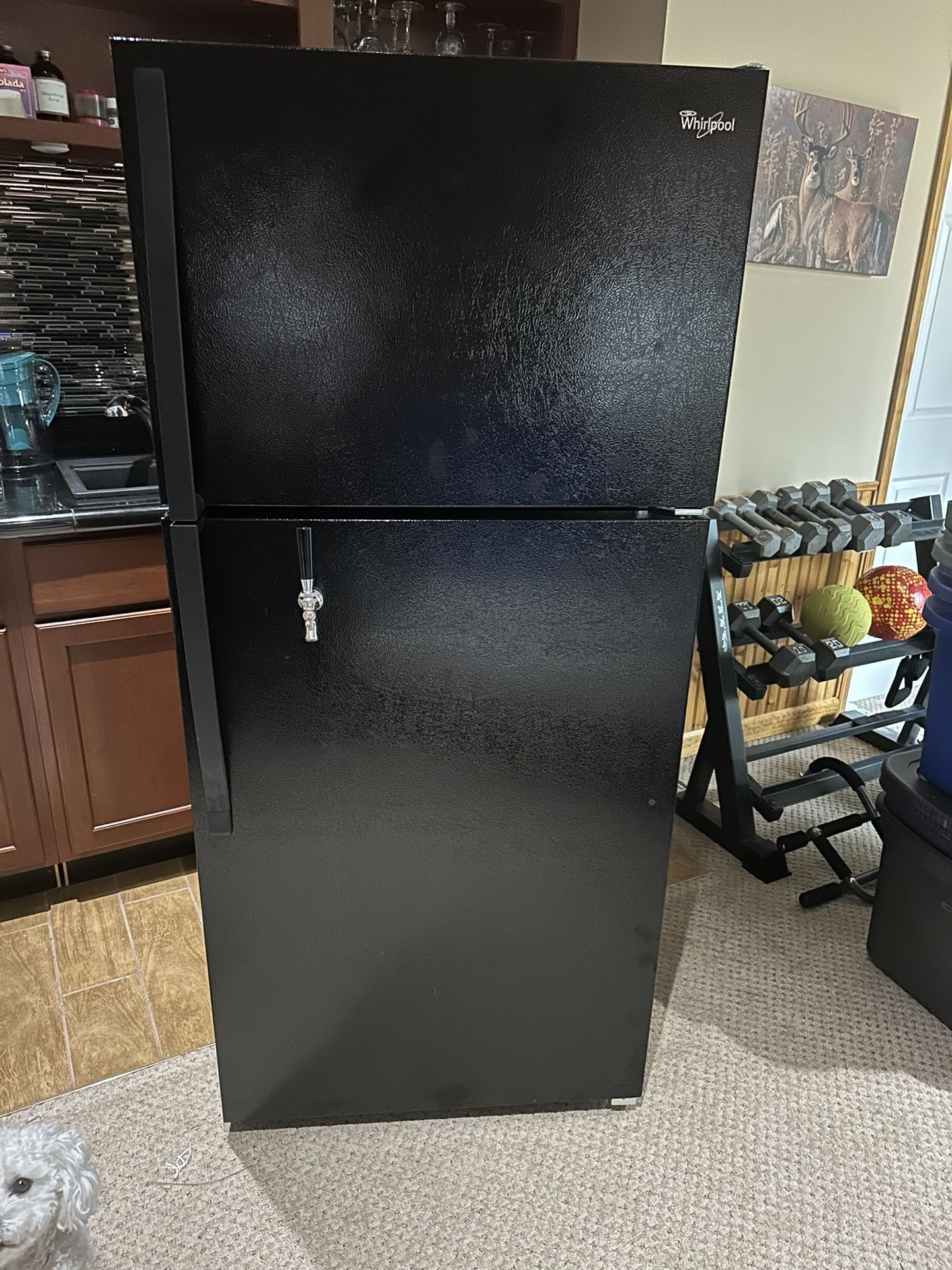 Kegerator-full size Refrigerator 