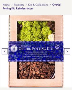 SuperMoss Orchid Potting Kit with Reindeer Moss