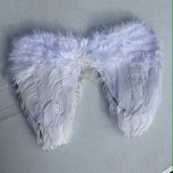 White Wings