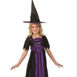 Costume “Little Witch” Dress & Hat Size Small (4-6)