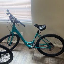 Specialized Roll Edition 