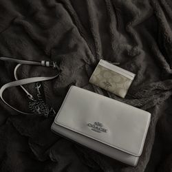 Bolsa Coach blanca y tarjetero cafe 