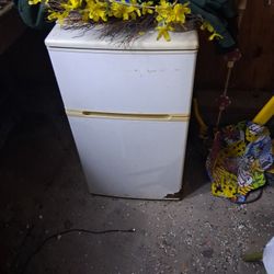 Mini Fridge ...waist High 