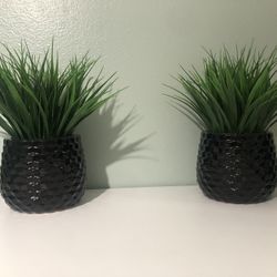 Fake Plants