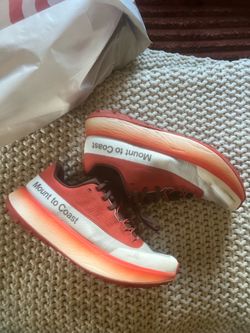 Mount to Coast running shoes