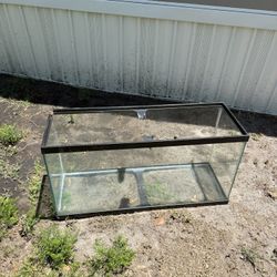 37 Gallon Aquarium 
