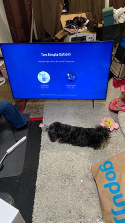 Tv. 65 inch