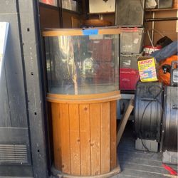 20 gallon fish tank withstand hundred dollars