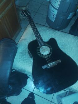 Alvarez accustic electric