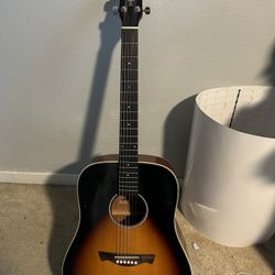 Tagima TW25 Acoustic/Electric (new out of the Box)