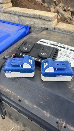 Snow Joe / Sun Joe 24V Batteries (2) + Dual Charger