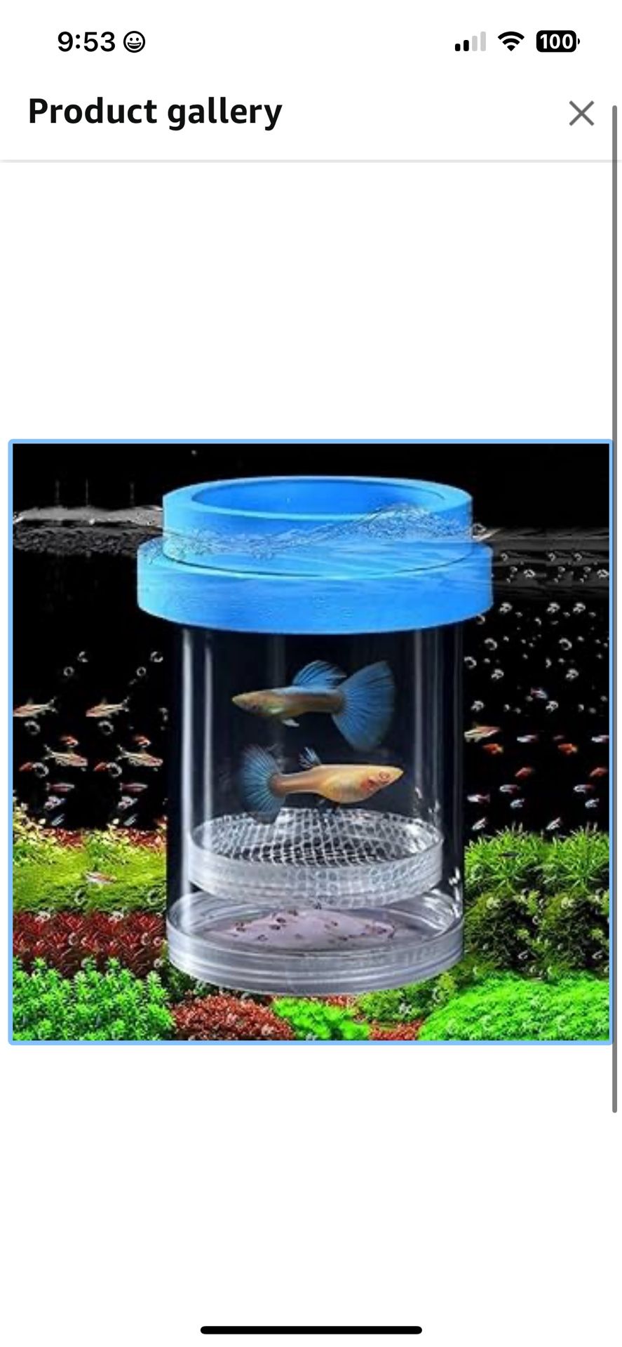*NEW* Plastic Mesh Fish Breeding Isolation Box for Aquarium Tank, Hatchery Incubator Breeder Box