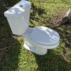 Glacier Bay Toilet