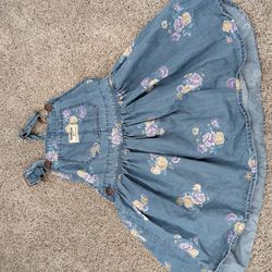 Toddler Flower Overall Dress 