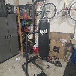 Punching Bag And Stand