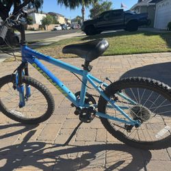 Nishiki Pueblo 20 kids bike