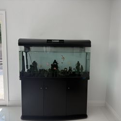 100 Gallon Fish Tank