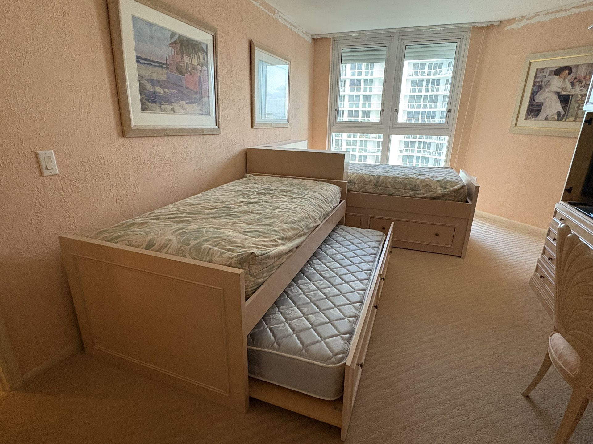 Twin Bed / Pull Out Bed / Desk / Sofa