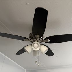 Ceiling Fan