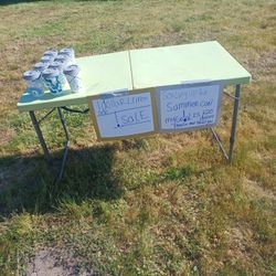 1.00 DOLLAR FOR LEMONADE PACIFIC WA 98047 FRESH COLD  LEMONADE  Come Get It While It's Cold 