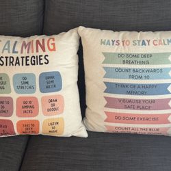 2 Calming Strategy Pillows