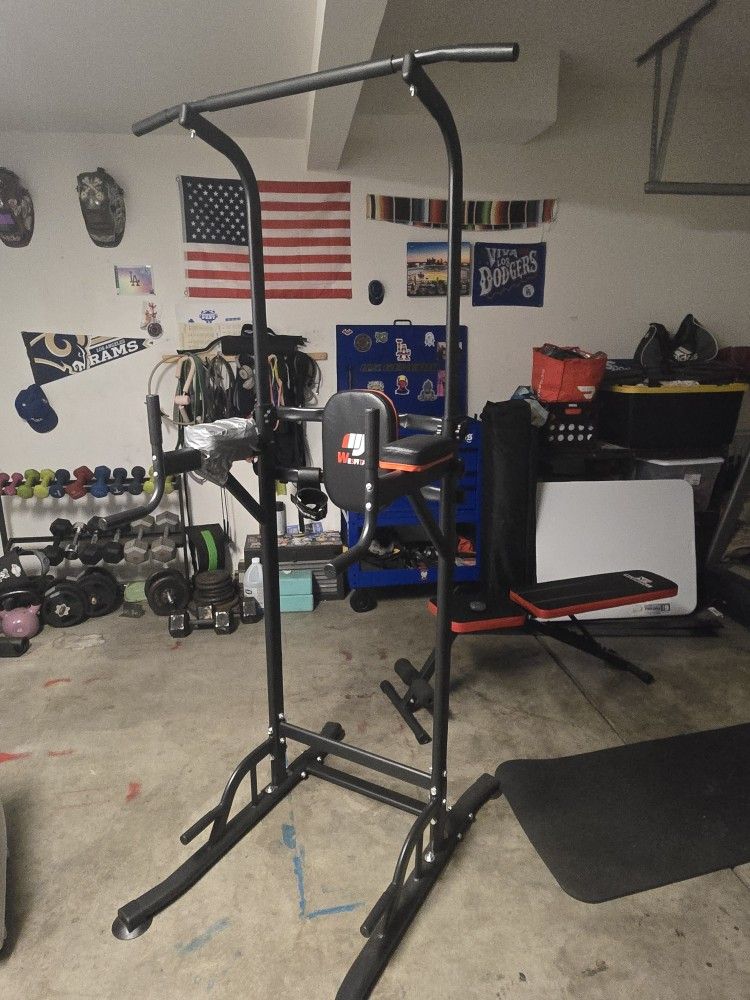 Pull Up Bar And Dip Station