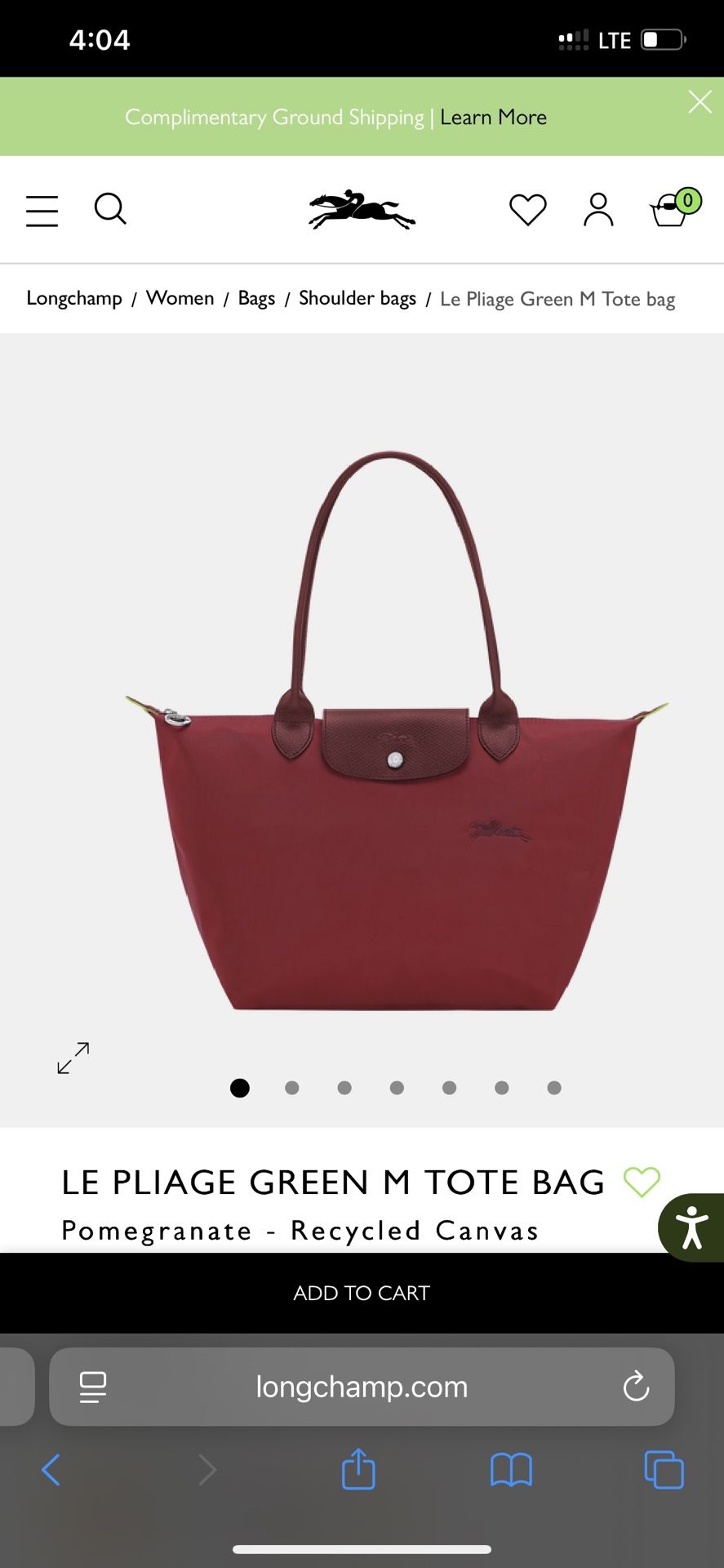 Longchamp Bag