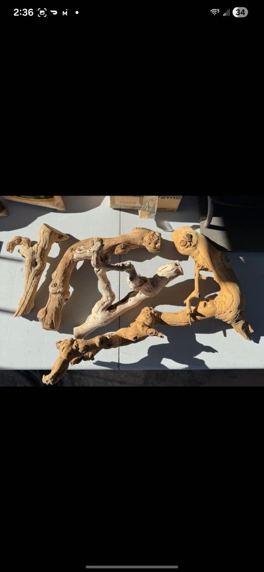 Reptile Branches Decor