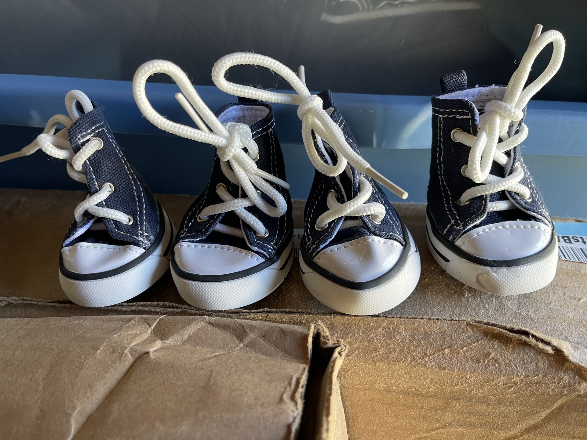Dog Converse tennis shoes, size 5, have a slight scuff on one as shown in picture