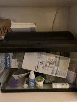 10 gallon fish tank with EVERYTHING you need