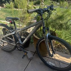 Trek Mountain Bike