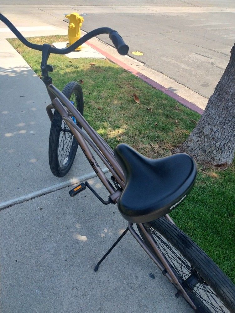 Beach Cruiser