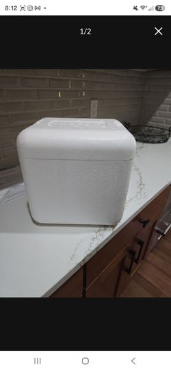 FREE  10x9 Styrofoam mini cooler with ice packs
