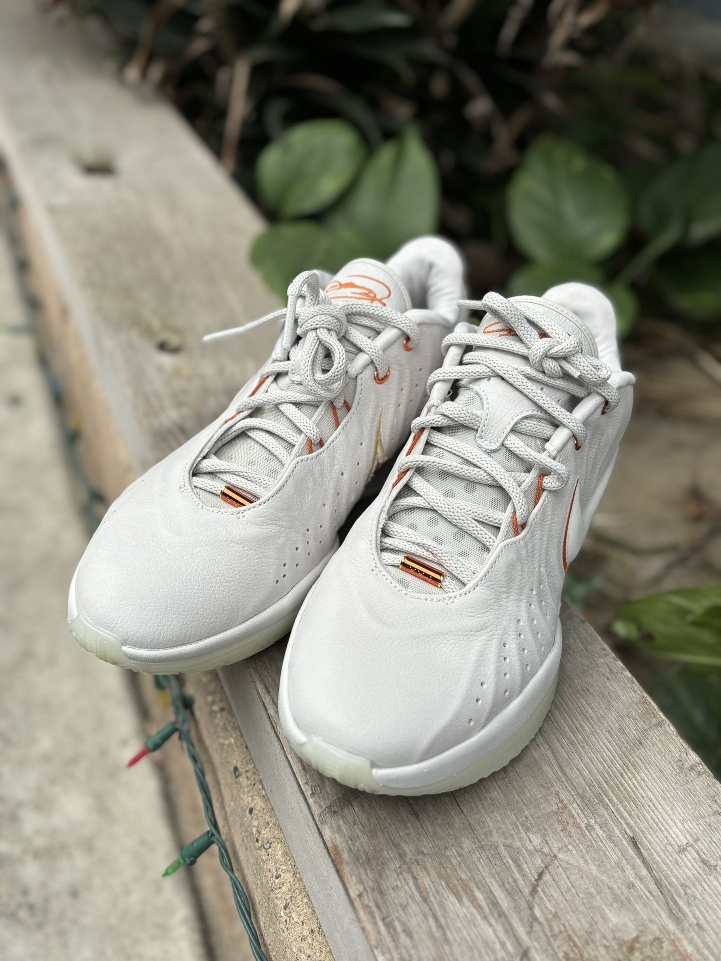 Size 10 men 11.5 women Nike LeBron 21 Akoya FV2345 001 