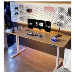 Shintenchi Standing Desk