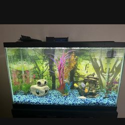 30 Gal Fish Tank With LED Lights And Lid 