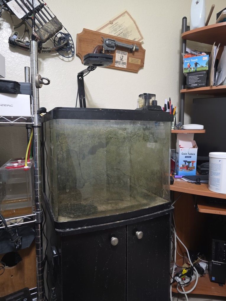 29 Gal Bio Cube Tank