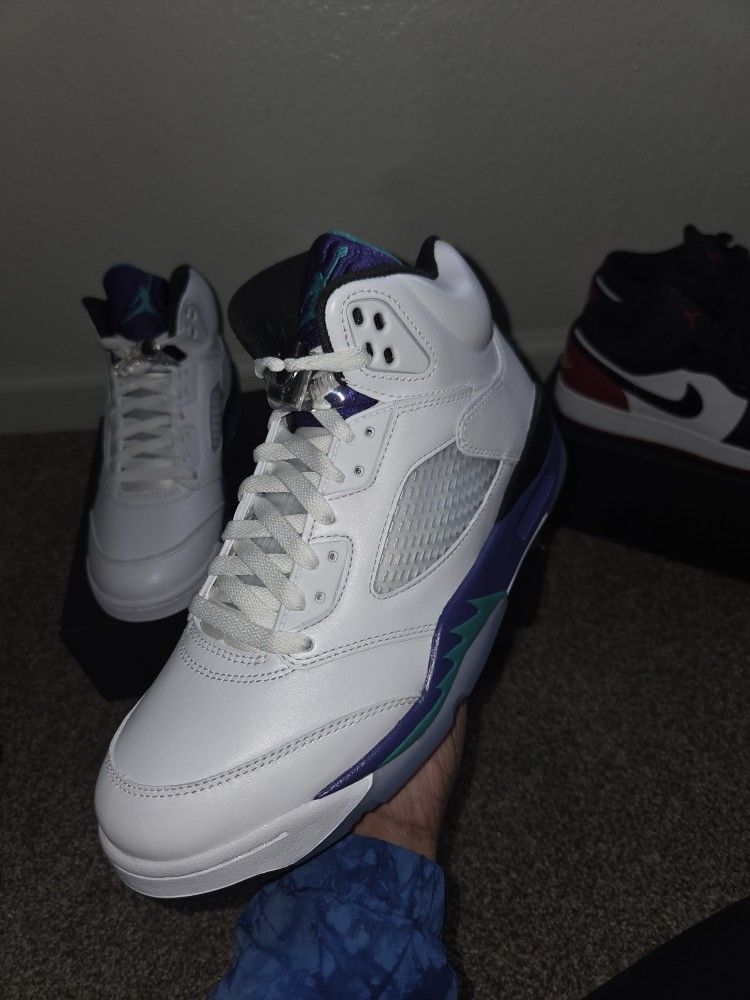 Air Jordan Retro 5 Grape