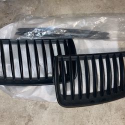 Bmw Kidney Grille