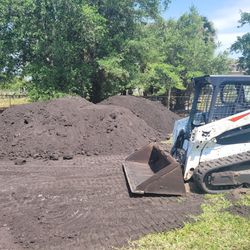 Bobcat/ Dirt leveling/ Land Clearing