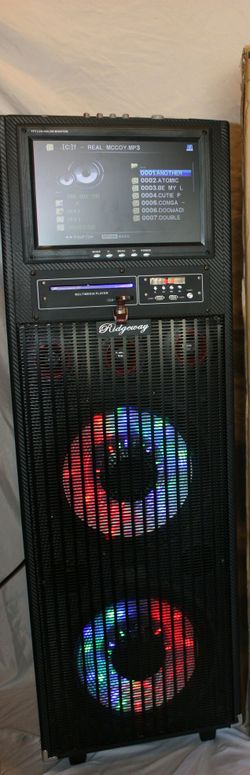 Double 12 inch 12 inch screen Bluetooth speaker SD card,slot USB port,FM radio,microphone included for karaoke